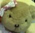 ฮิเซกิ ฮิเซกิ