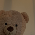 รูปโปรไฟล์ของ blankbear19