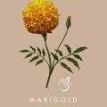 รูปโพรไฟล์ของ Marigold717MG