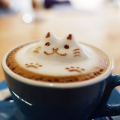 รูปโปรไฟล์ของ Honey-latte