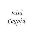 รูปโปรไฟล์ของ MiniCaspia