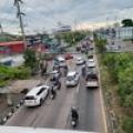 รูปโปรไฟล์ของ TIK252616