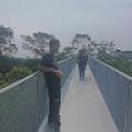 รูปโปรไฟล์ของ LoidTesza