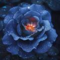 รูปโปรไฟล์ของ Night_Moonflower