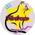 รูปโปรไฟล์ของ Fortrune