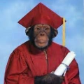 รูปโปรไฟล์ของ AbsoluteMonkey