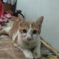 รูปโปรไฟล์ของ Bacxiuu