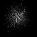 รูปโพรไฟล์ของ Black0ashes