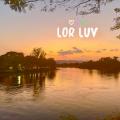 รูปโปรไฟล์ของ LORLUV