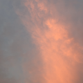 รูปโปรไฟล์ของ SkyBu0303