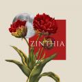 รูปโพรไฟล์ของ zinthia