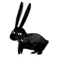 BlackBunny