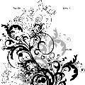 writer