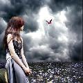 writer