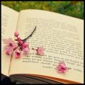 writer