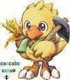 chocobo zero