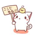 writer