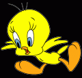 Little Tweety