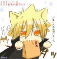 writer