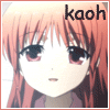 writer