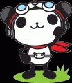 writer