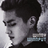 winny_winnput