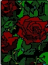 Crimson Rose/กุหลาบทับทิม