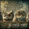 รูปโพรไฟล์ของ pince-nez