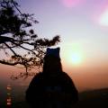 writer