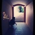 writer