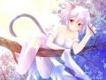 writer