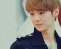 รูปโปรไฟล์ของ luhan25