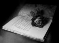 writer