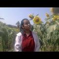 writer