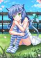 writer