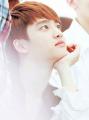 รูปโปรไฟล์ของ kiyo-ying