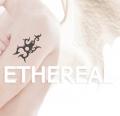 รูปโพรไฟล์ของ ky-ethereal