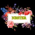 รูปโปรไฟล์ของ NBSTER