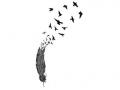 writer