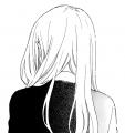 writer