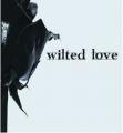 writer
