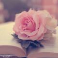 writer