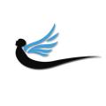 writer