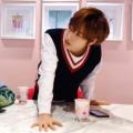 writer