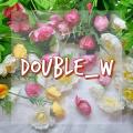 รูปโปรไฟล์ของ double_w