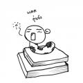 writer