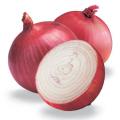 รูปโปรไฟล์ของ RedHeadOnion