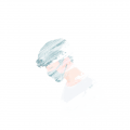 writer