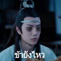 writer