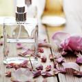 รูปโปรไฟล์ของ Perfumery
